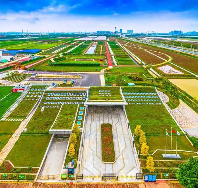 南沙都市农业实验园获2021年广州市科学技术普及基地认定
