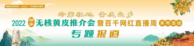 场外求购、现场下单！全国采购商走进郁南黄皮果园