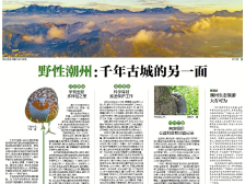 走进潮州中青班|一文速览《南方日报·潮州观察》第95期