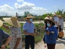 南沙珠江街党建助农创收增收