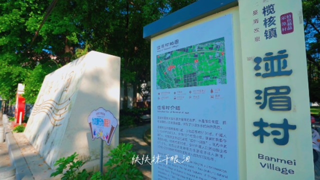 Hi 我在榄核的第63天