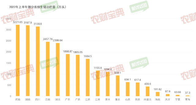 速看！19省公布2022年上半年生猪成绩单
