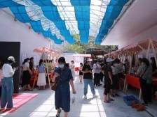 ​线上线下结合，南沙巾帼行动乡村游赋能乡村振兴