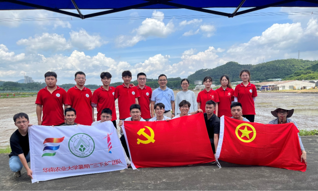打造“无人农场”！华南农业大学三下乡团队增城开展水稻生产实践