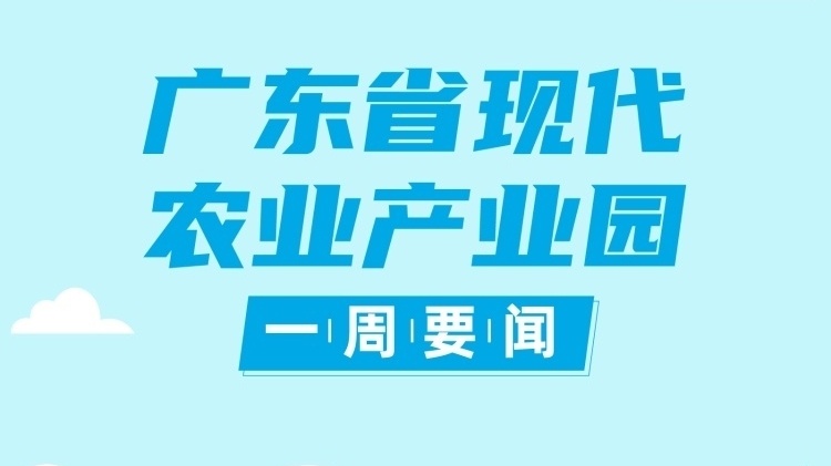大国粮策，南粤夏收！全省9个丝苗米产业园开启慢直播|广东现代农业产业园一周要闻⑱