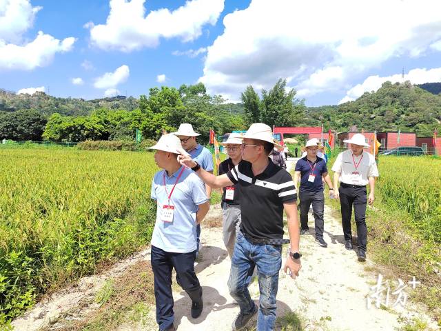 彩塘镇人大主席团开展粮食安全专题调研活动。