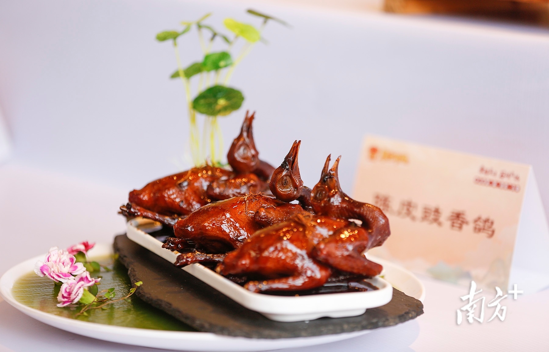 展示区上的乳鸽美食。 南方+ 叶志文 拍摄