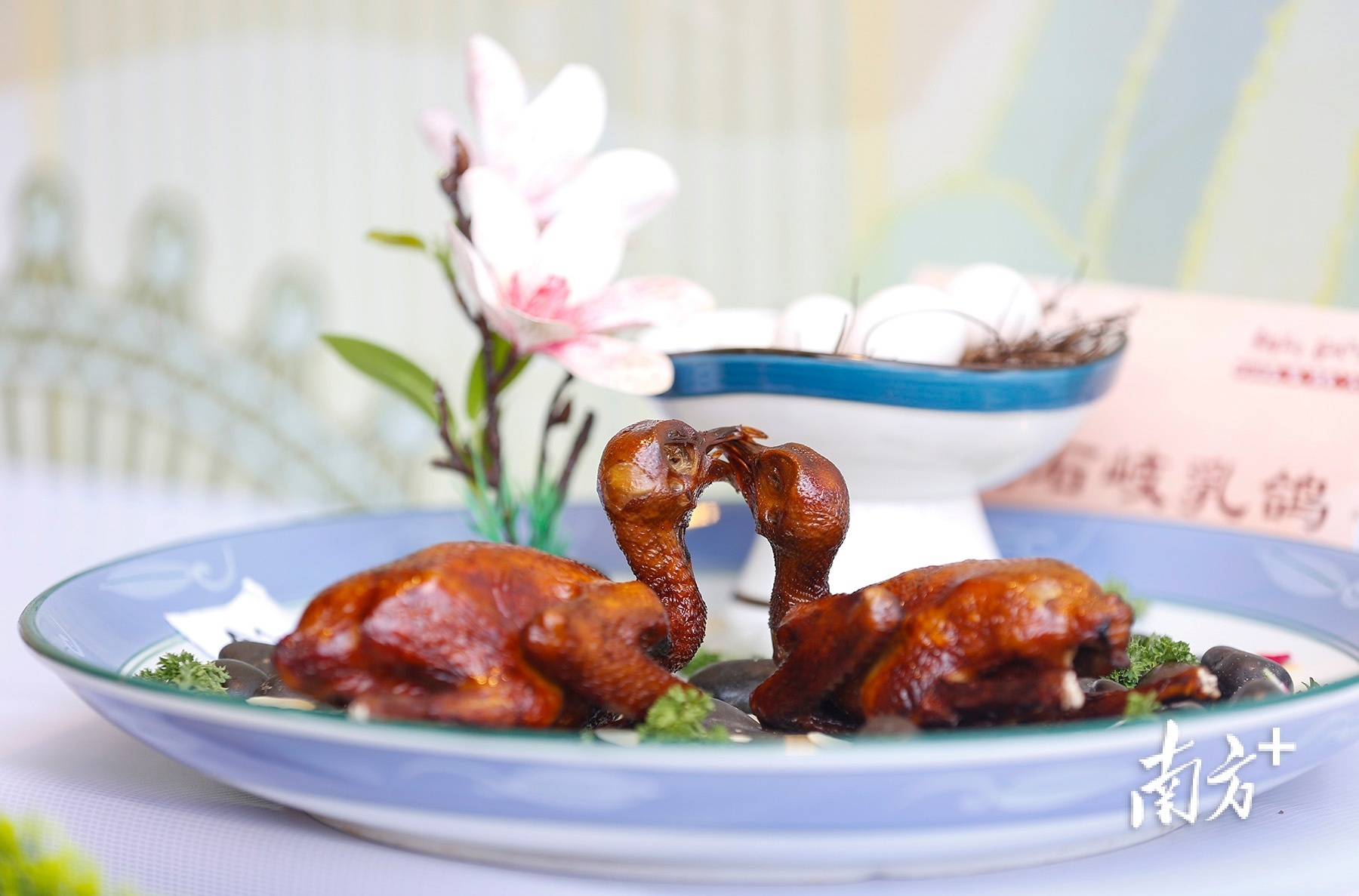 石岐乳鸽菜品。 南方+ 叶志文 拍摄