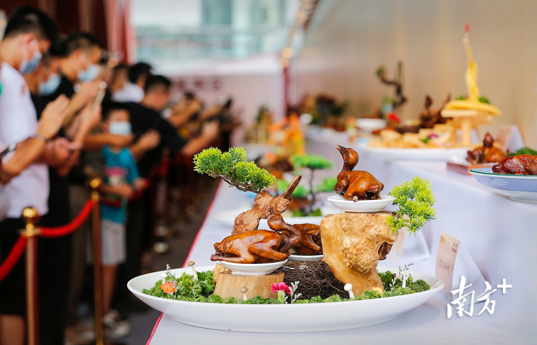 “鸽肴”大赛现场,厨师们的“鸽肴”吸引了不少关注的目光。 南方+ 叶志文 拍摄