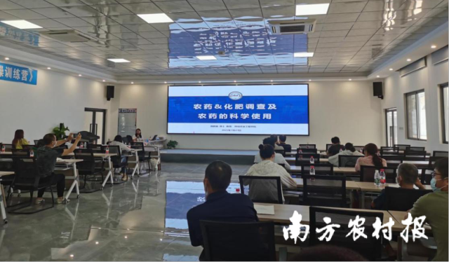 打好农业面源污染防治攻坚战！南沙区重拳推进农业绿色高质发展