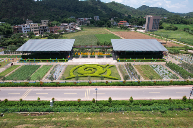 边游边学！来惠州这个“宝藏村”，体会诗一样的田园生活