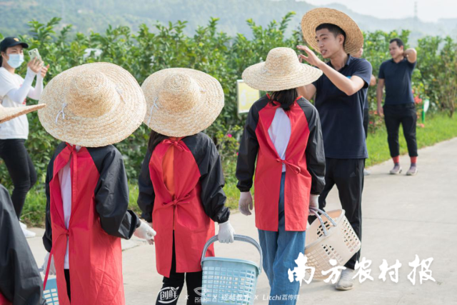 组织农民管护技术培训 组织农民管护技术培训
