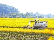 从2.6%里能看到什么？本期《南方日报·肇庆观察》剖析肇庆上半年GDP增长