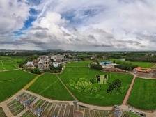 晚稻播种育秧40万亩|《南方日报·高州视窗》68期