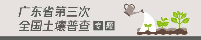 高州土壤普查园林样地采样讲解