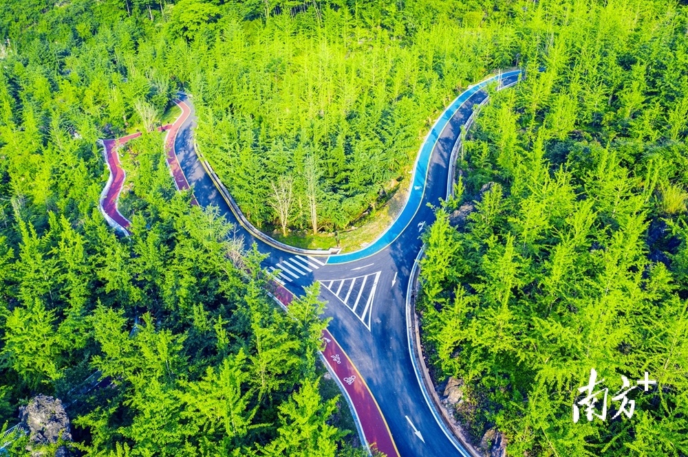 连南万山朝王国家石漠公园内，彩色沥青点缀铺就的森林步道。房翔龙 摄