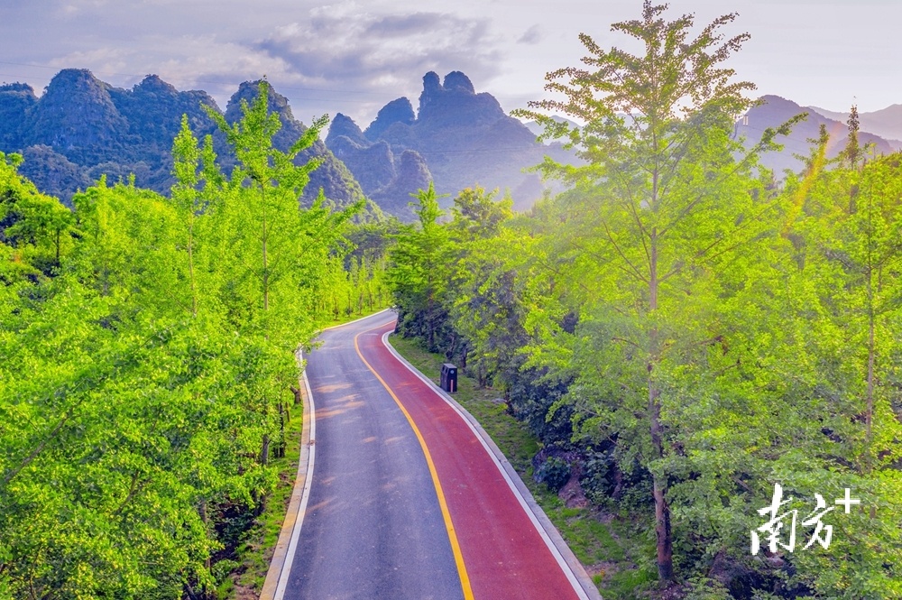 公园内绿树成荫。房翔龙 摄