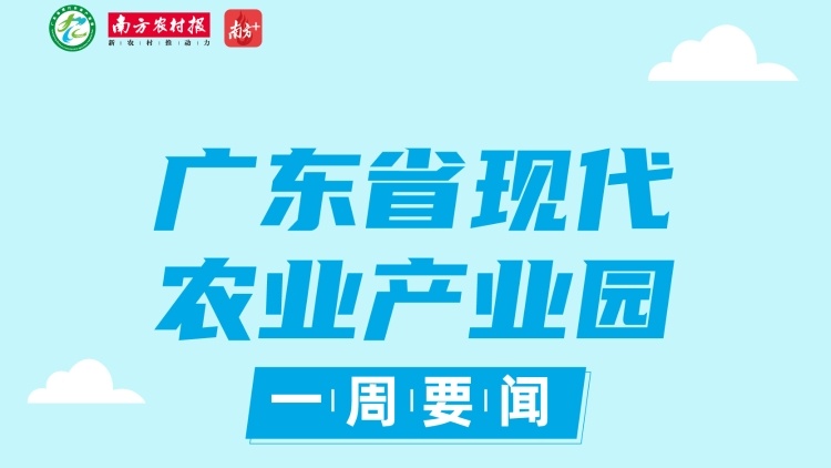 解码“广东文化产业园现象价值”！文化点亮乡村，服务激活产业|广东现代农业产业园一周要闻⑲