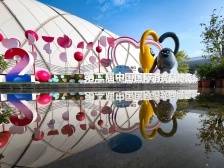 外资竞逐大湾区，国货品牌销全球！第二届消博会闭幕