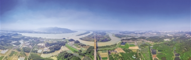 西江、北江在思贤滘交汇，绥江在不远处汇入北江。这片区域造就了三水三江汇流的景观。/佛山日报记者王澍摄