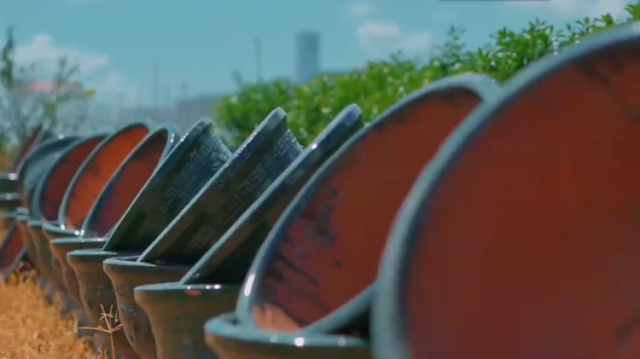 Hi 我在榄核的第70天