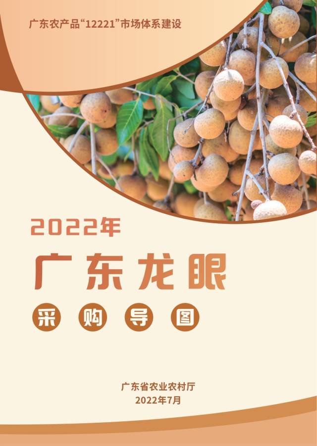@采购商 广东龙眼上市啦！最全采购导图助你一键直采
