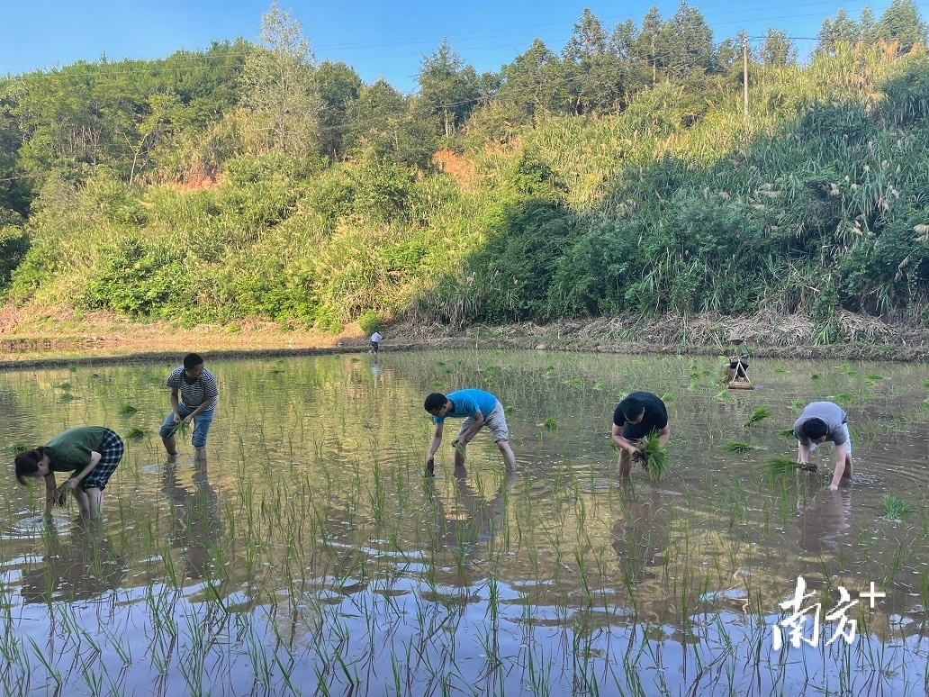 乐昌三溪:全力推进撂荒地复耕复种工作