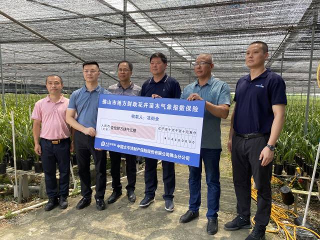 冼街全收到了保险公司的理赔款。受访者供图 冼街全收到了保险公司的理赔款。受访者供图