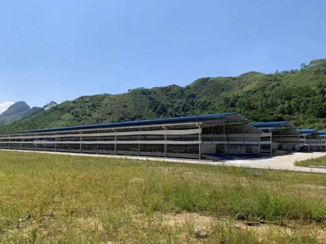山清水秀养好羊 山清水秀养好羊