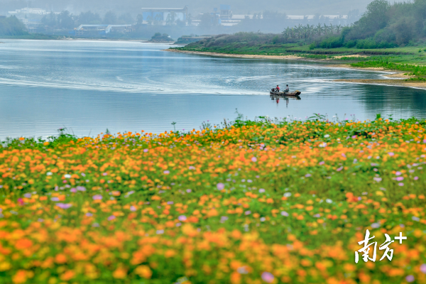 三水充分发挥水资源禀赋,打造水韵绿城。李淑仪摄 三水充分发挥水资源禀赋,打造水韵绿城。李淑仪摄