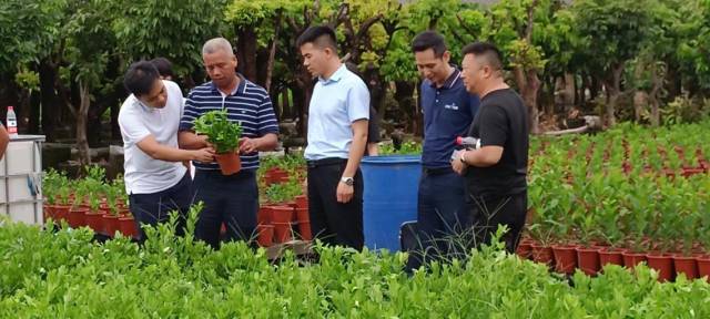 顺德区花卉协会工作人员与花农交谈。 受访者供图 顺德区花卉协会工作人员与花农交谈。 受访者供图
