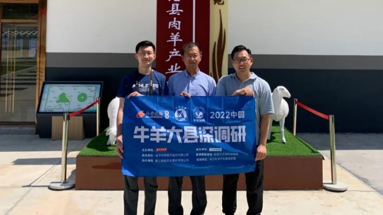 北羊南养可行吗？安欣牧业成志军：广西基地湖羊存栏超3万只，未来将做好五个“本地化”|牛羊大县深调研