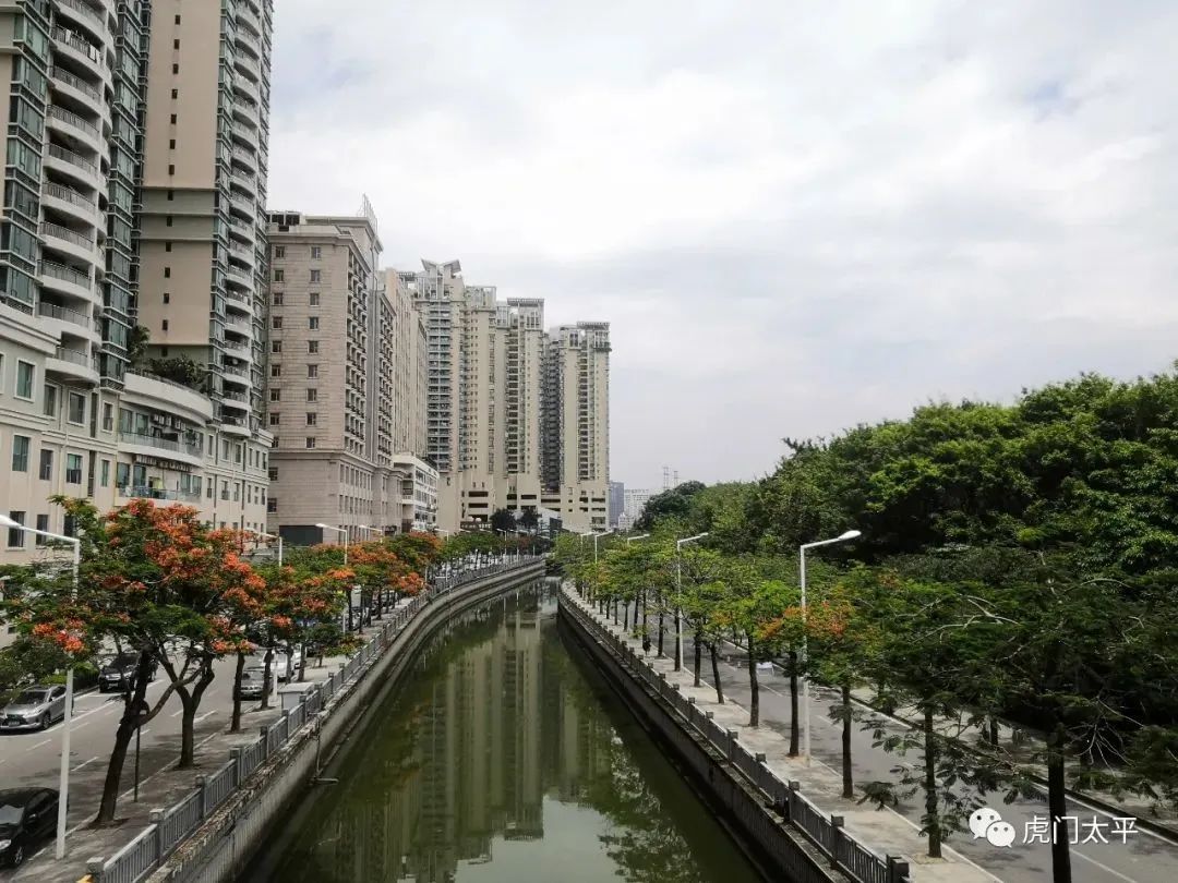 ▲龙眼新涌虎门公园段岸边（2022年5月摄）