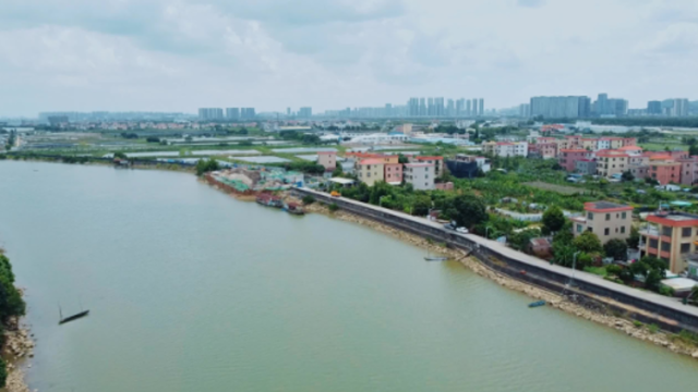 Hi 我在榄核的第73天