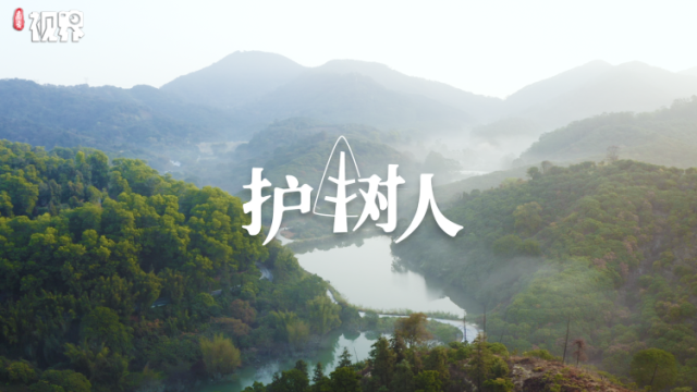 二维码上树了！那个大树下长大的孩子成了“树长”