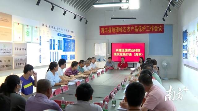 擦亮油占米、莲花山茶品牌，海丰部署地理标志农产品保护工作