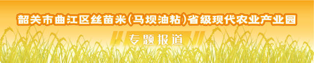 韶关曲江：烘干机进村，晒谷不再难