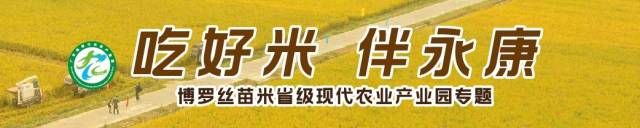 南方农村报 郑建斯 拍摄