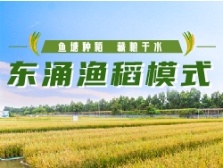 鱼跃稻花香，藏粮于水上！