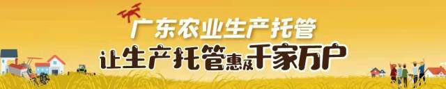 40名晋级名单出炉！南粤行大比拼第二轮竞演将于8月11日举办