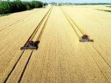 蒋述卓：黑土地，金土地｜海风