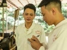 吾心归处是云安：在十亿大产业中闯出一番事业的乡村青年CEO