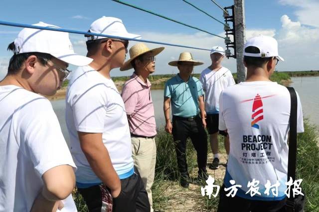 中国生态养虾高地！清一色混养，品牌苗占比高达7成