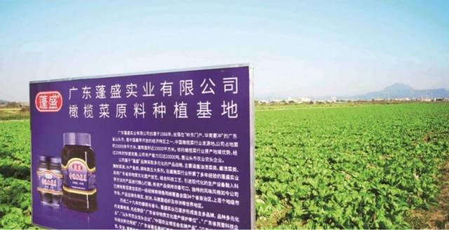 受访者供图