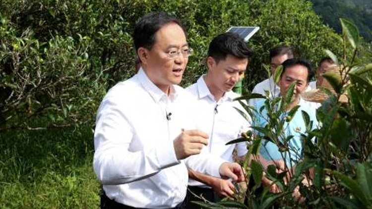 协作、共赢，各地市这样干！| 市委书记抓乡村振兴（2022.08.01-08.07）