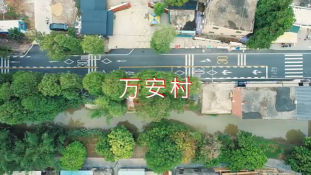 Hi 我在榄核的第77天