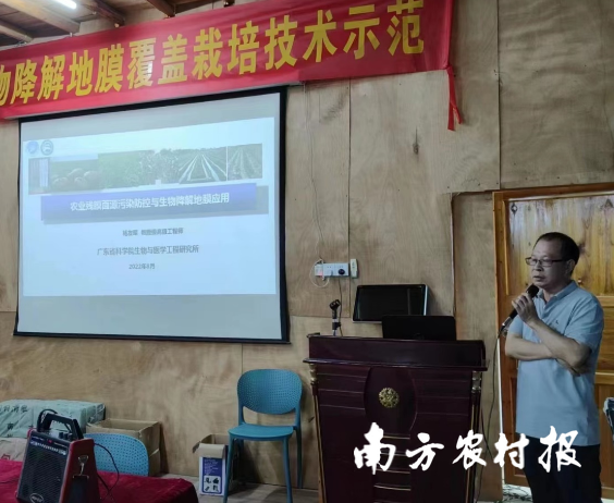 给农田减“塑”，给农业“增绿”！南沙因地制宜探索构建农膜回收体系