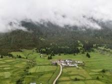 广东助力林芝产业兴旺，变“输血”为“造血”