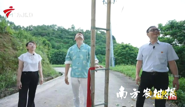 广东省第三届乡村振兴大擂台走进潮安区橄榄省级现代农业产业园。