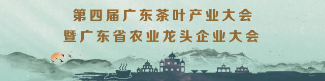 广垦橡胶：整合全球天然橡胶资源，做农企“出海”排头兵
